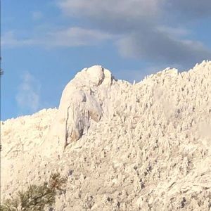 Meet your Posher, Leslie